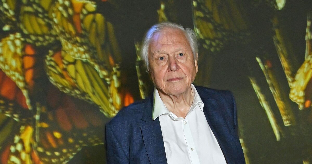 David Attenborough replaced by BBC in major shake-up of popular show