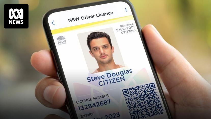 Digital driver's licences are becoming common but without security standards people are vulnerable to fraud, theft