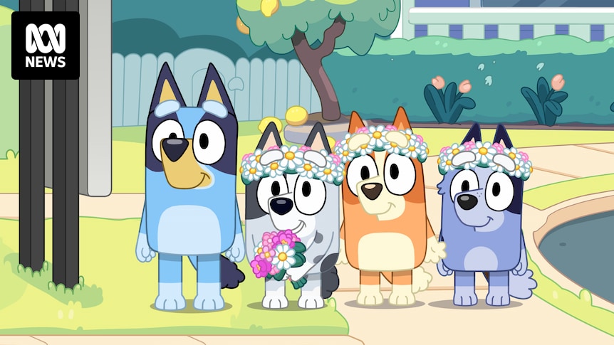 Don't worry, Bluey isn't ending but Sunday's special episode is going to be a big one. Here's what to expect