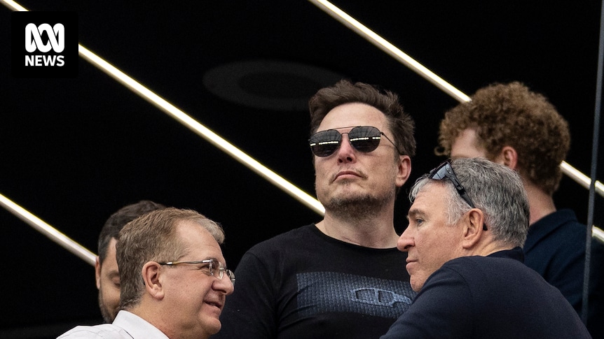 Elon Musk divides Australians even as Tesla sets record sales