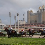 Ethical solution needed for Macau Jockey Club horses