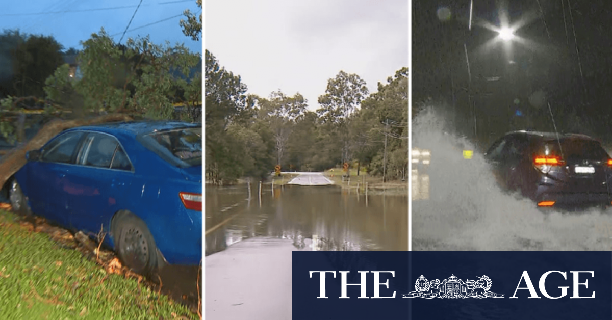Flood warnings for New South Wales and Queensland