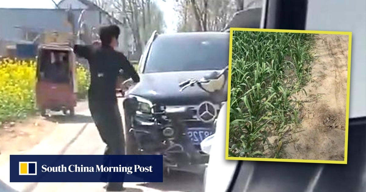 Furious China farmer takes brick to smash luxury car of driver who crushed her garlic seedlings, triggers wealth gap debate