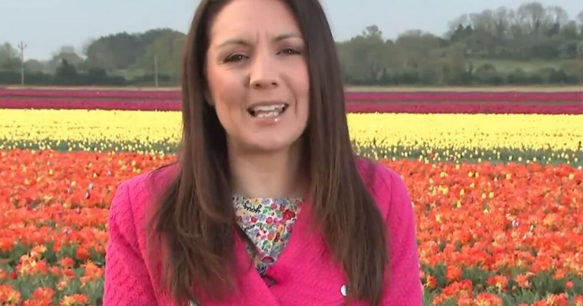 Good Morning Britain viewers all say same thing as Laura Tobin is replaced