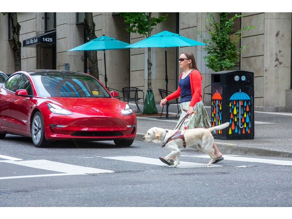 Guide Dogs for the Blind Rideshare Survey Results Reveal More Than 83 Percent of Respondents Have Been Denied Access
