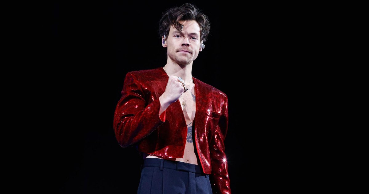 Harry Styles Experts Wanted for Hometown Tour Guide Gig