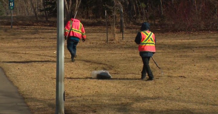Hate Crimes Unit investigating symbols burned in grass at Edmonton park