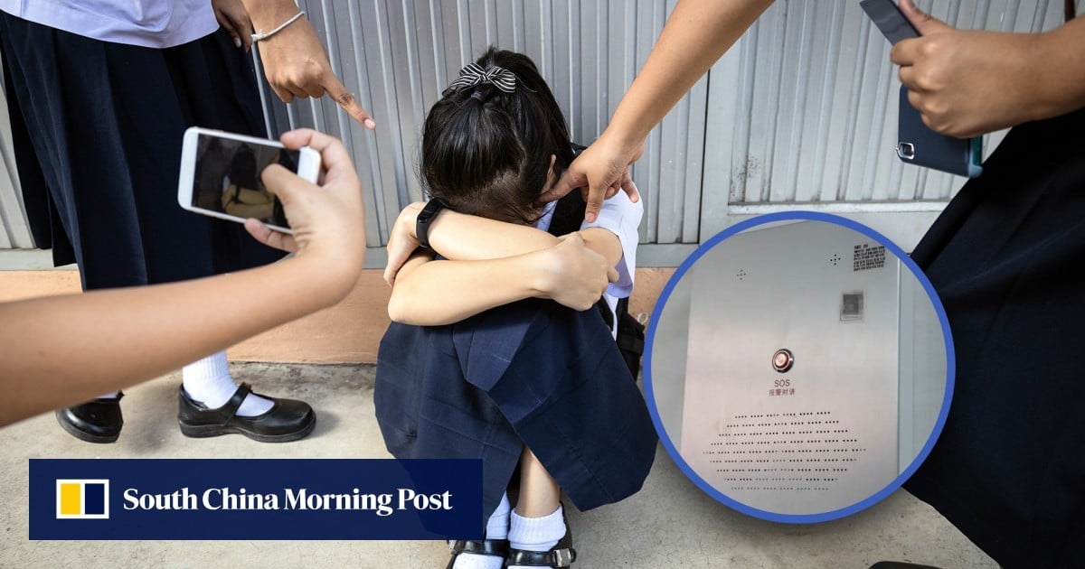 Help me! China school installs toilet alarms to tackle bullying as campus violence problem persists