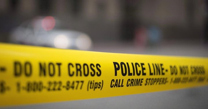 Home, vehicles peppered with bullets in Mission, B.C.