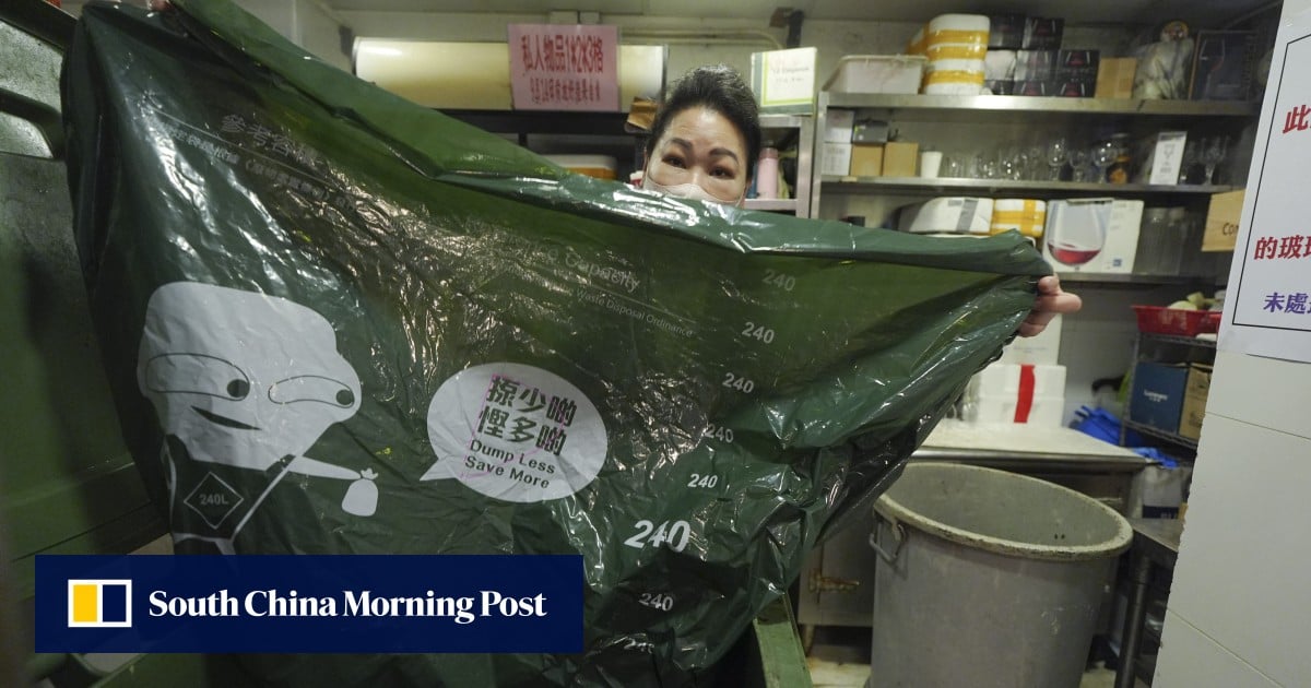 Hong Kong catering sector not ready for twice-delayed waste-charging scheme: top government adviser