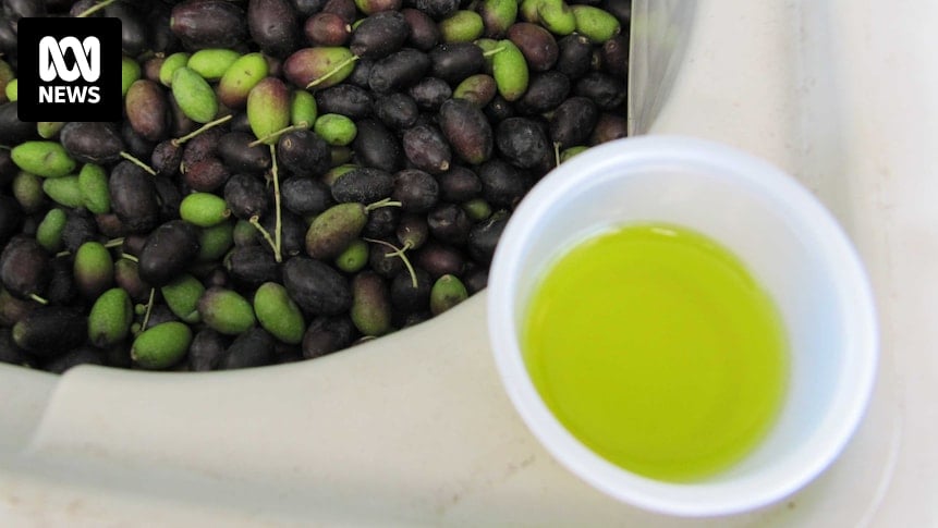 How do you know if extra-virgin olive oil is really extra-virgin? Australia to start quality monitoring program