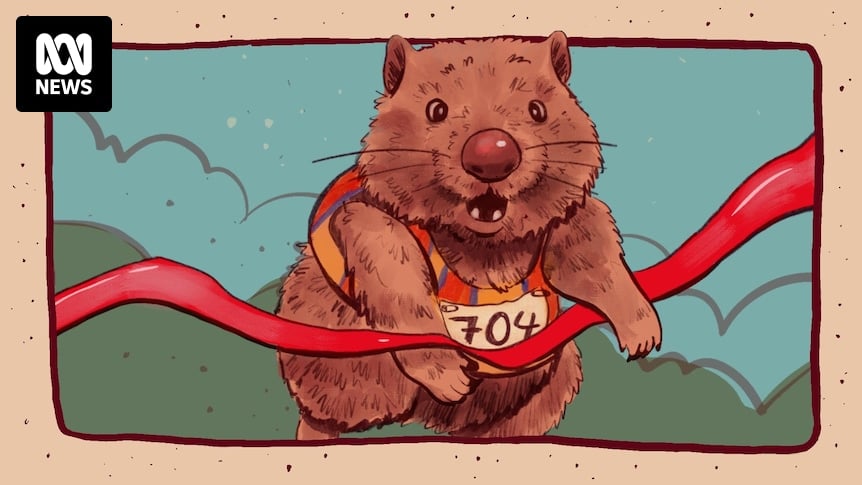 How fast does a wombat really run? An investigation into the 40 kph phenomenon
