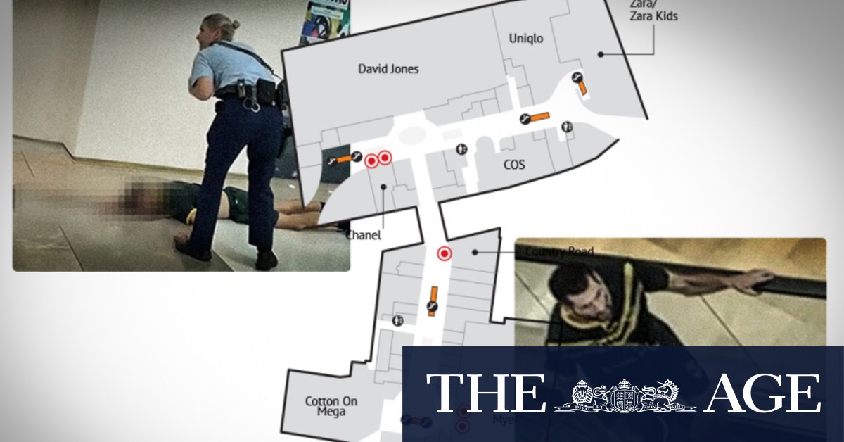 How the terrifying Bondi attack unfolded, floor by floor