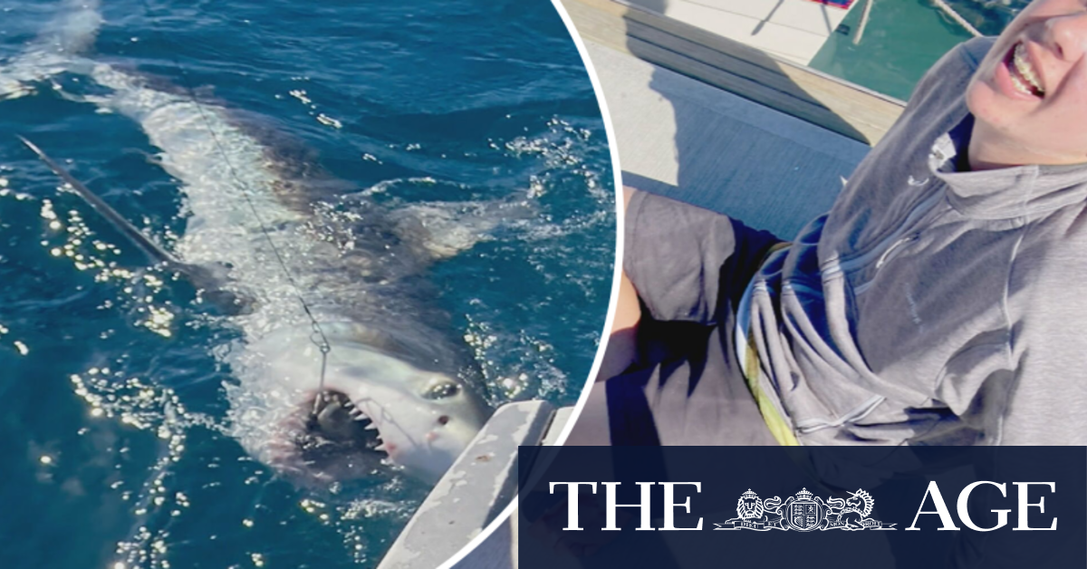 Investigation after Adelaide teen bitten by shark while fishing