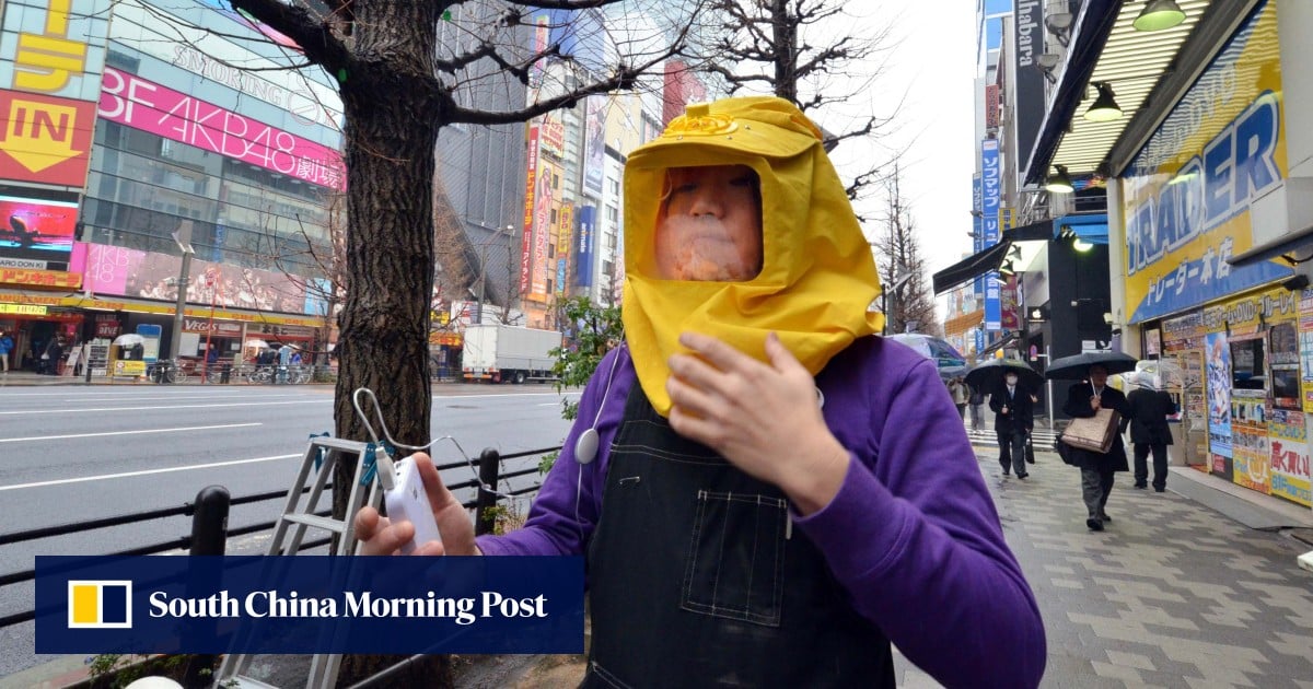 Japanese companies offer pollen-allergic workers subsidised tropical trips in battle against hay fever