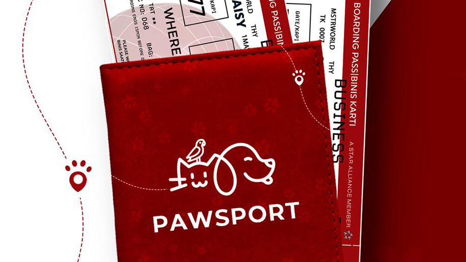 Jet-set pets: Turkish Airlines creates revolutionary pet passport