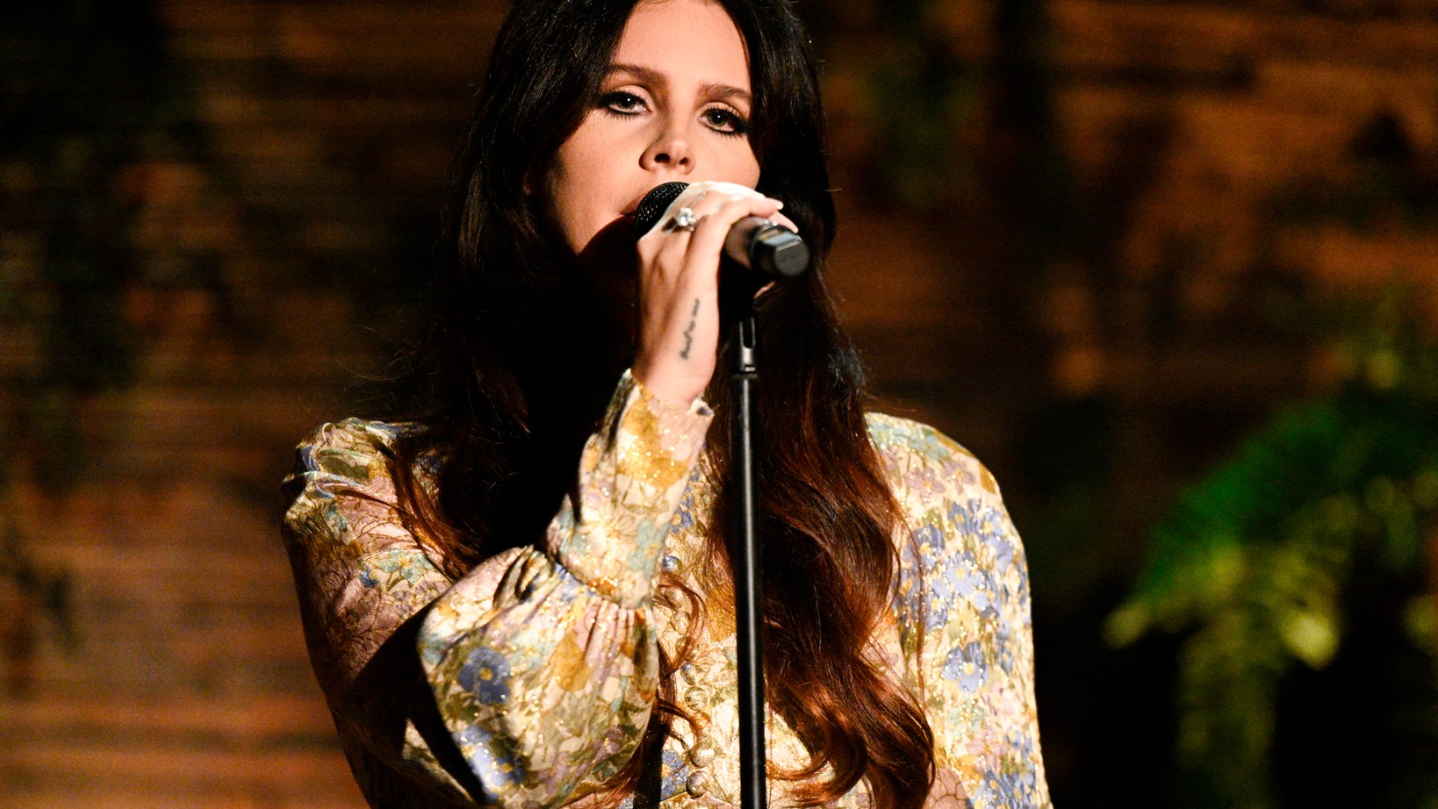 Lana Del Rey Cements Herself as a Cult Icon at Coachella