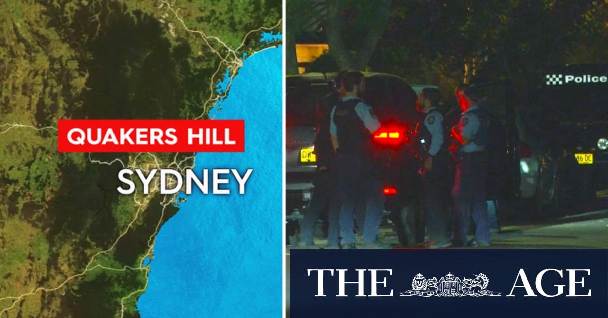 Man dead after stabbing in Sydney
