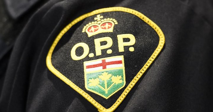 Man dies in off-road vehicle crash north of Madoc: Central Hastings OPP