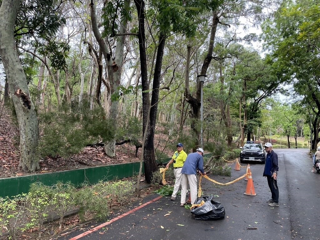 Men killed by falling trees amid heavy rain