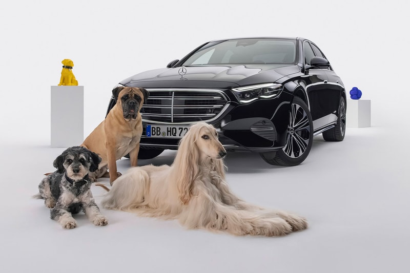 Mercedes-Benz Unveils Innovative MBUX "Bark Assist" for Dogs