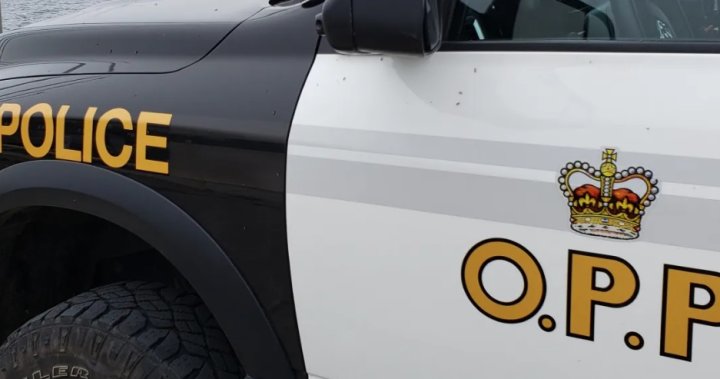 Mississauga man dead after road rage causes 6-vehicle crash: OPP