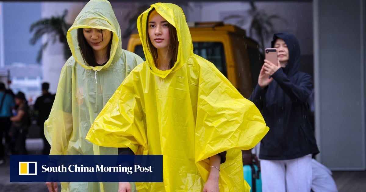 More heavy rain, high winds forecast for Hong Kong as thunderstorm moves towards city
