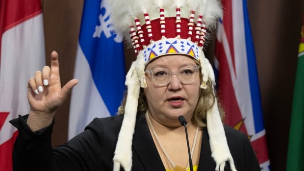 National chief says she was 'stunned,' calls for change after headdress taken from her on flight