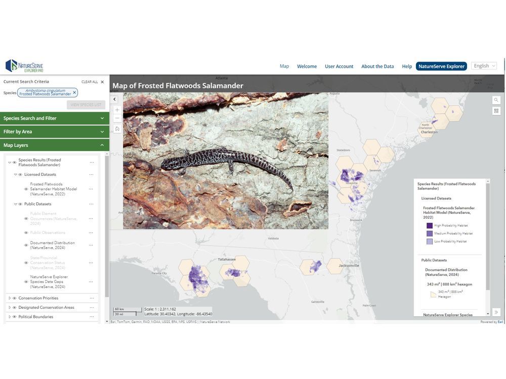 NatureServe Expands Access to Critical Biodiversity Data with the Launch of NatureServe Explorer Pro