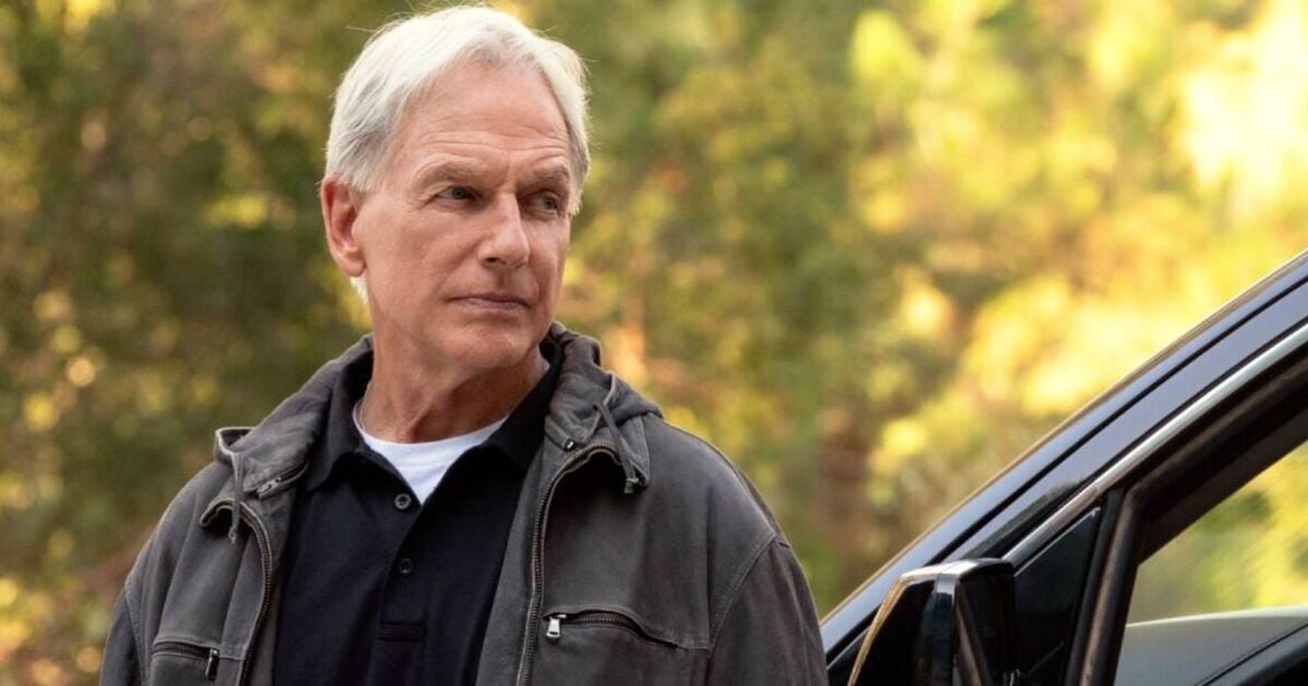 NCIS' wardrobe department confesses Gibbs copied signature look from guest star