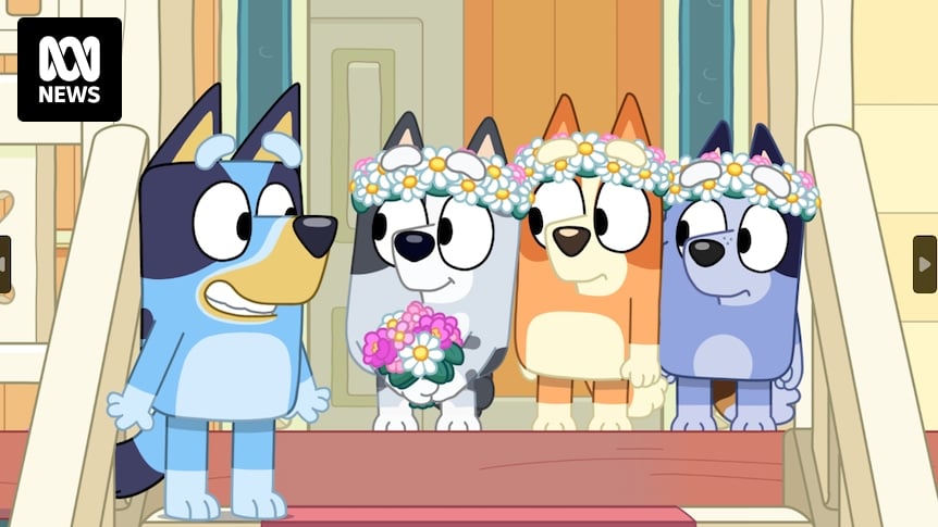 New long Bluey episode The Sign is full of hidden Easter eggs. Here's nine you might've missed