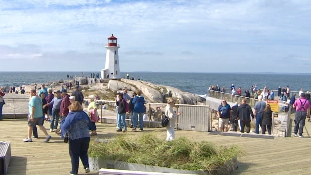 New Peggys Cove bylaw brought in amid complaints of unfairness