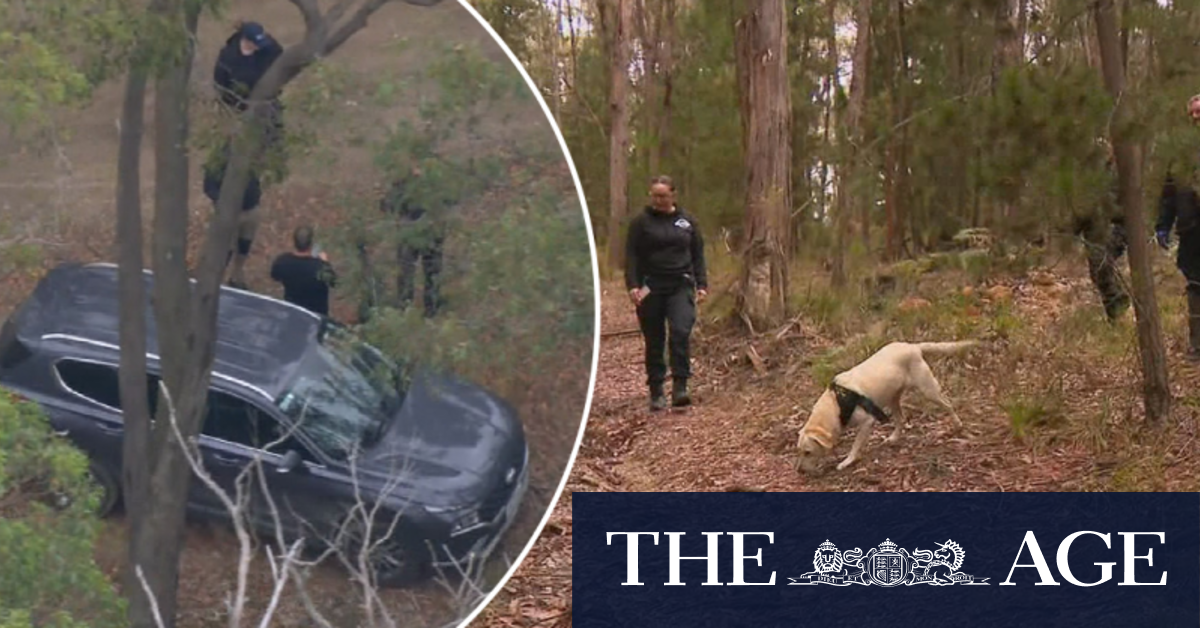 New search launched in hunt for Samantha Murphy's body