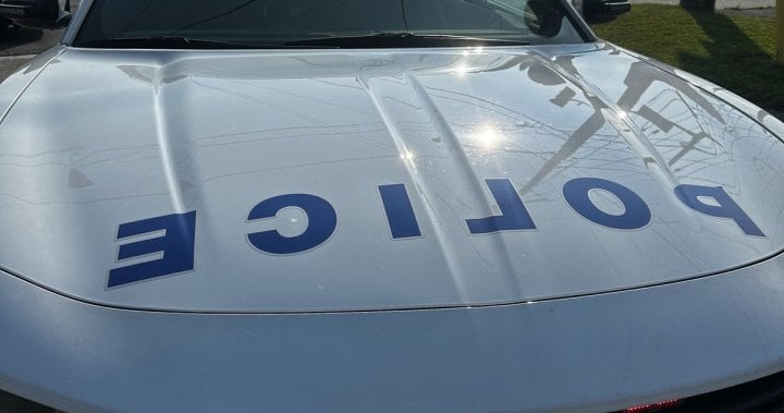 Peterborough police seize replica handgun, arrest 2 after fight at park
