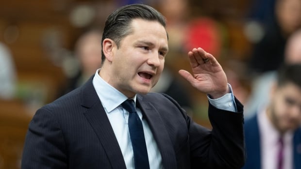 Poilievre blasts budget, won't commit to keeping new social programs like pharmacare
