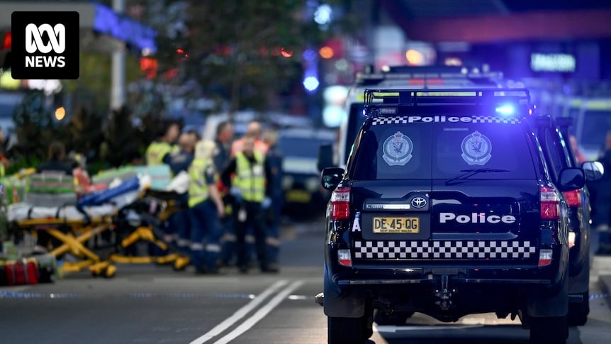 Police have identified the Westfield Bondi Junction attacker. Here's what we know
