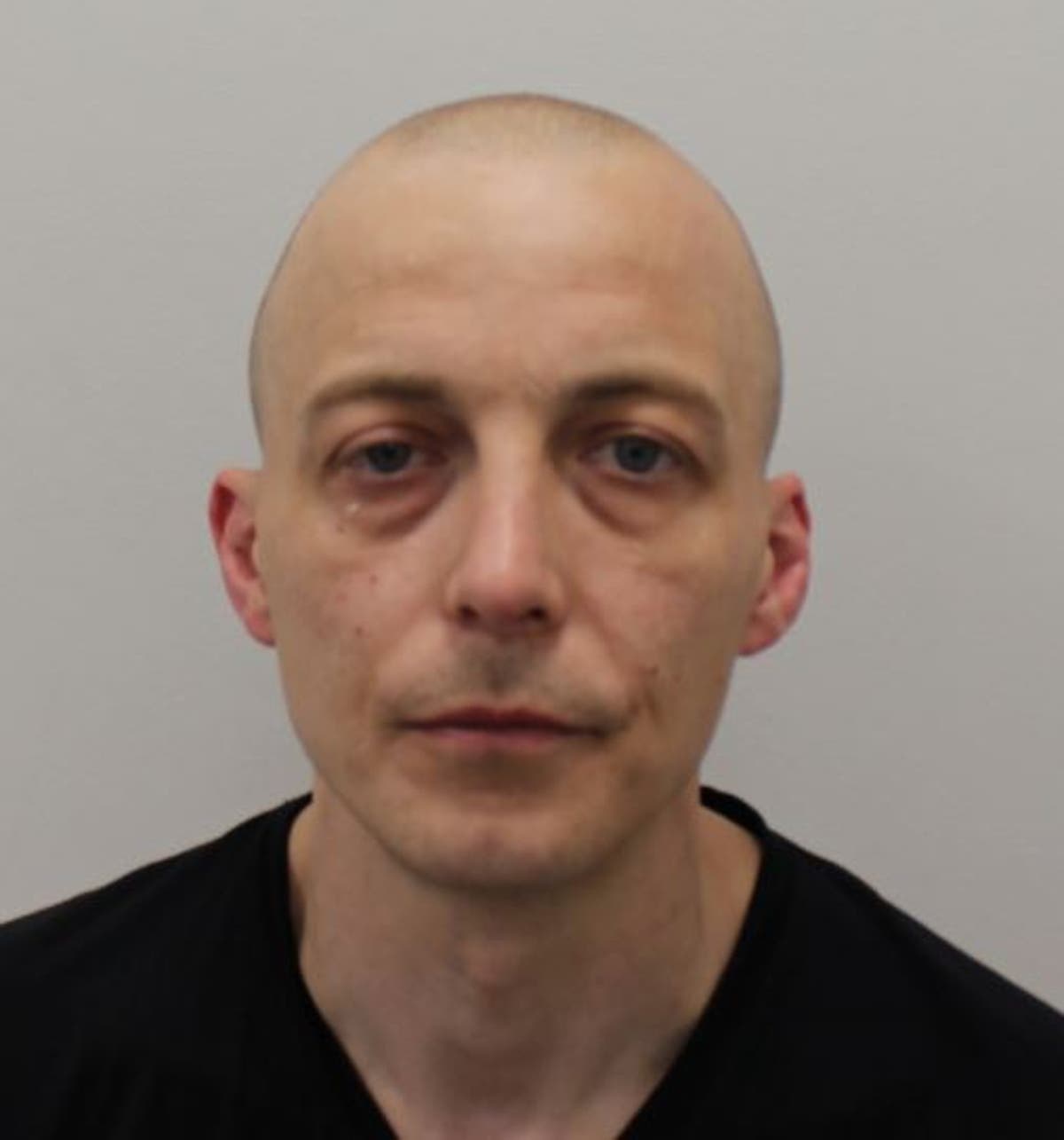 Police hunt convict who fled from mental health workers in Ealing