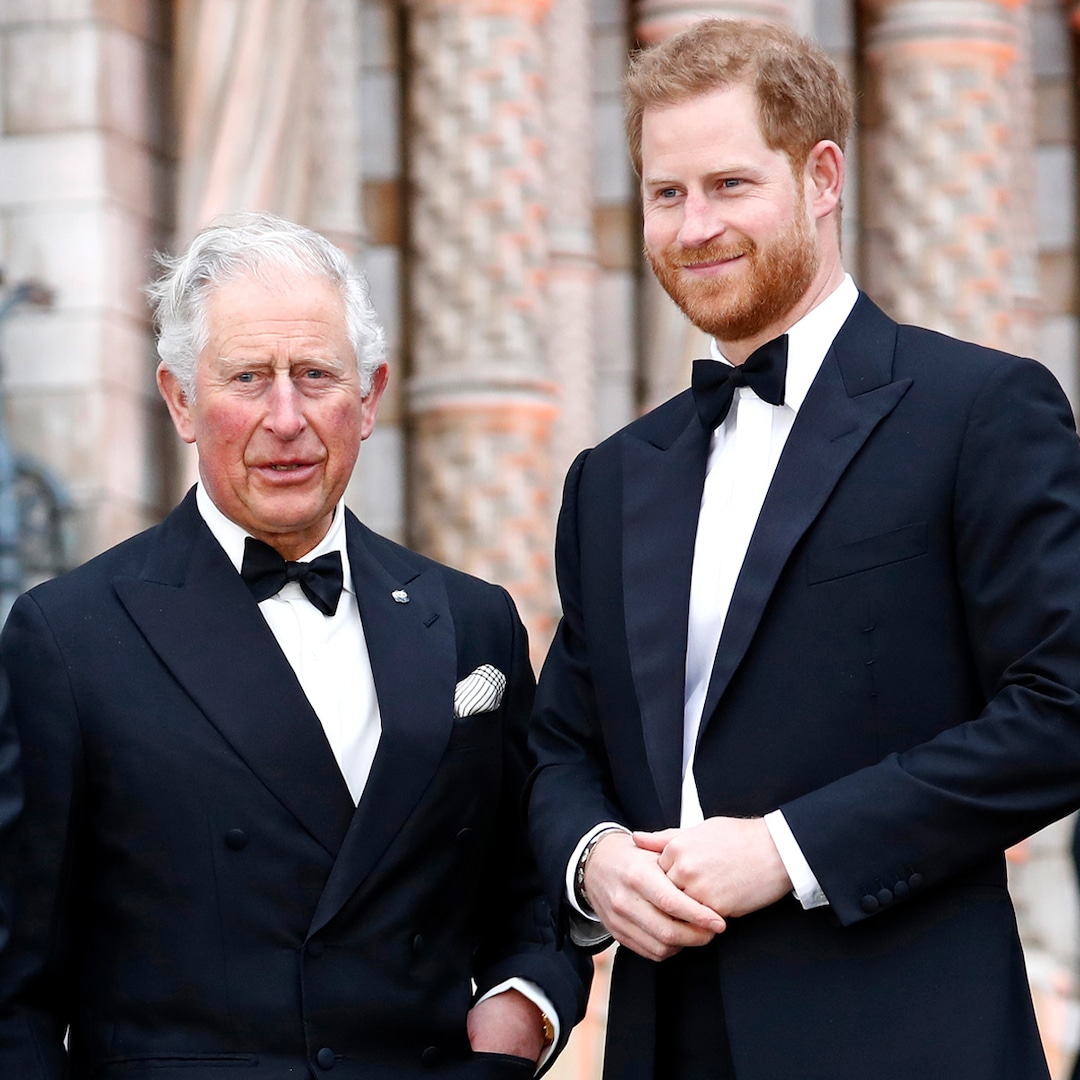  Prince Harry Returning to U.K. 3 Months After Visiting King Charles 