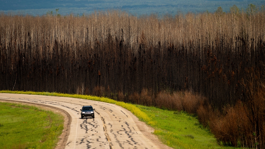 Record Alberta fires changed forests for decades and destroyed rare habitat: report