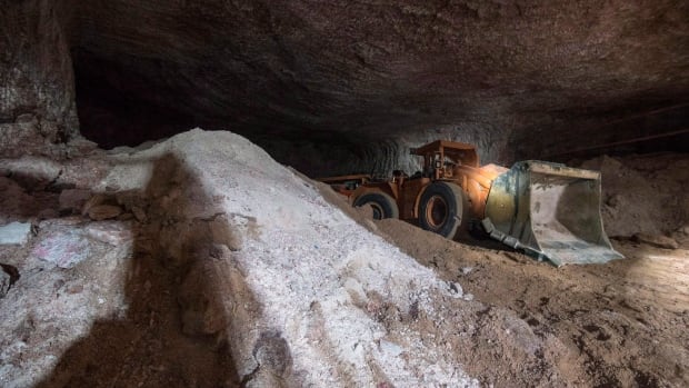 Sask. is taking a smaller cut from growing potash profits, and this former minister is calling for change