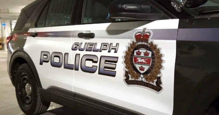 Shoplifting suspects try to use alarm jammer in theft at Guelph store: police