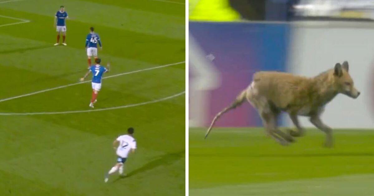 Sky pundits make same joke as unlikely pitch invader steals show in League One title clash