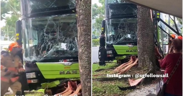 SMRT bus captain dies after crashing vehicle into tree in Woodlands