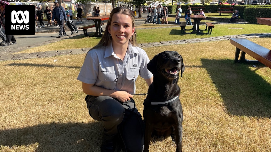 Sniffer dog 'Vespa' awarded at Sydney Royal Easter Show for record biosecurity interceptions