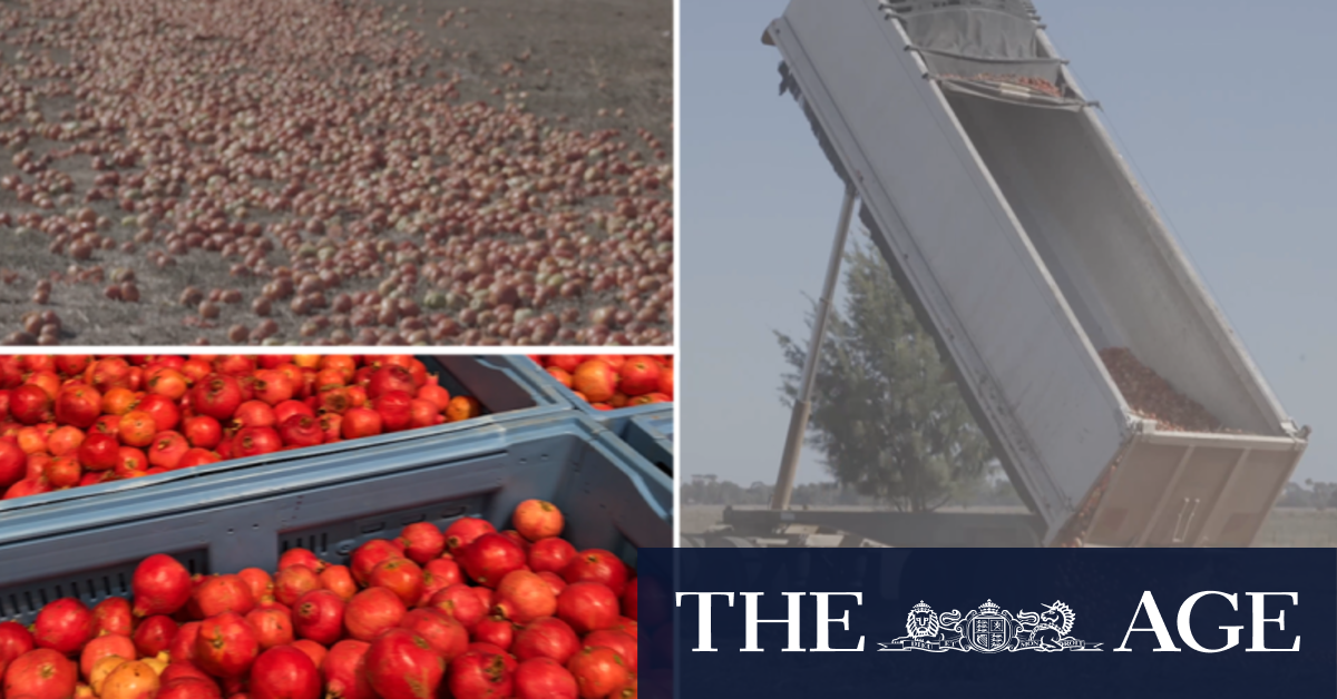 Supermarkets reject tonnes of pomegranates, tomatoes