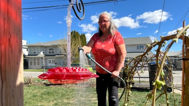 Taps will be turned off for residents who defy water restrictions in drought-stricken B.C. city