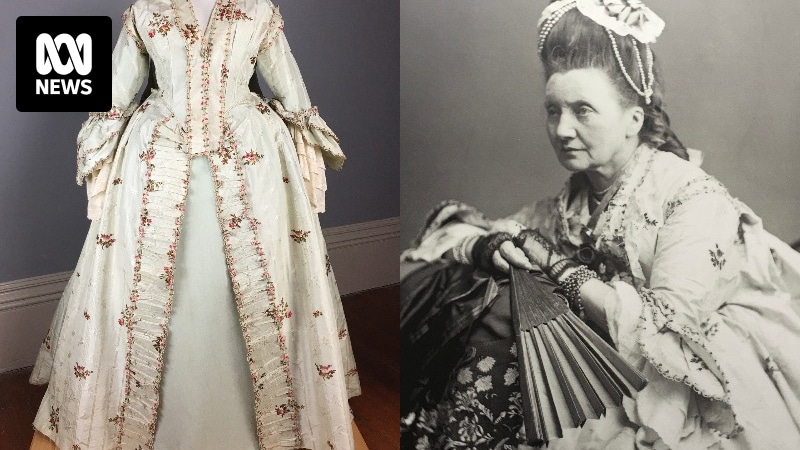 Tasmania's oldest dress owned by artist Louisa Anne Meredith an 'exquisite piece of history'