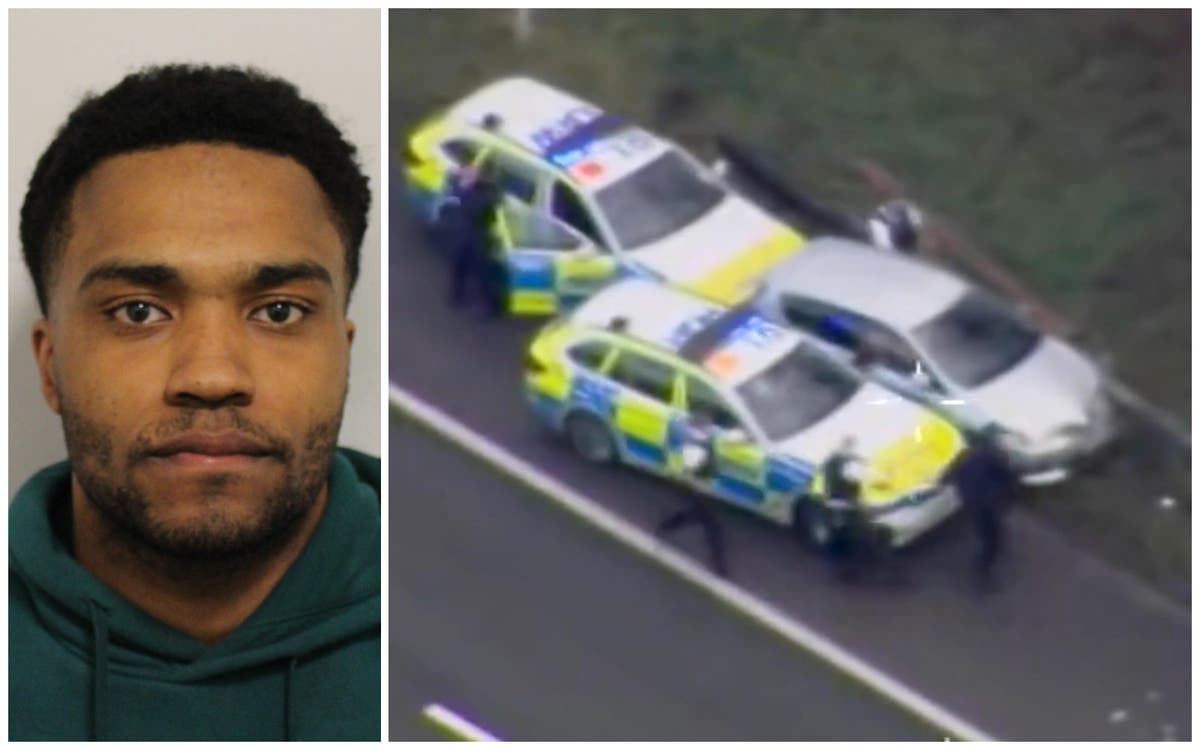 Thief jailed after dramatic police chase in east London following Christmas Day burglary spree