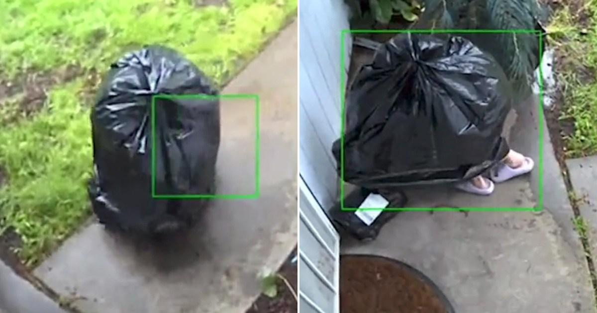 Thief pretends to be bag of rubbish to steal package off doorstep