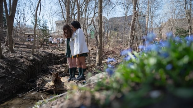This school uncovered a buried stream and transformed its schoolyard